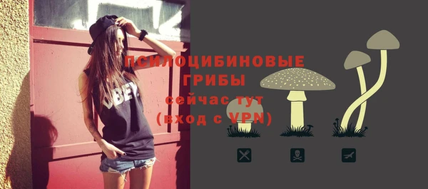 герыч Бородино