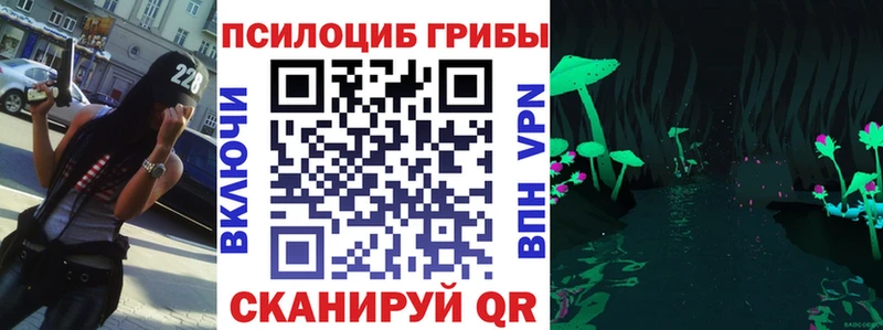 Псилоцибиновые грибы Cubensis  Купить  Зеленогорск 