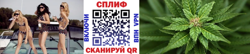 Купить  Зеленогорск  МАРИХУАНА тримм 